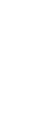 岩船祭